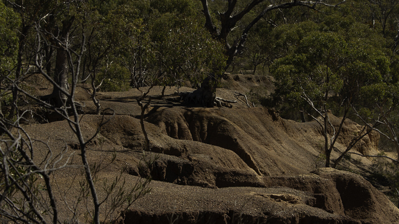 Pink Cliffs Outing 1