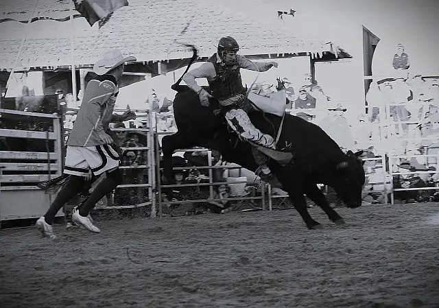 Bull Rider