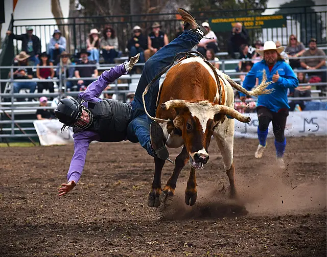 Bull Rider