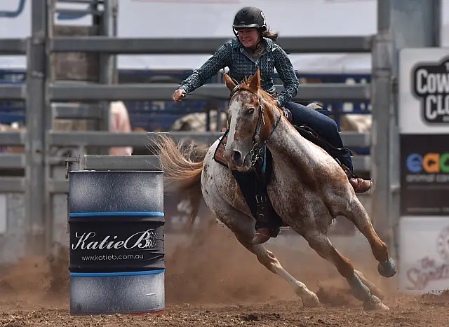 Rodeo