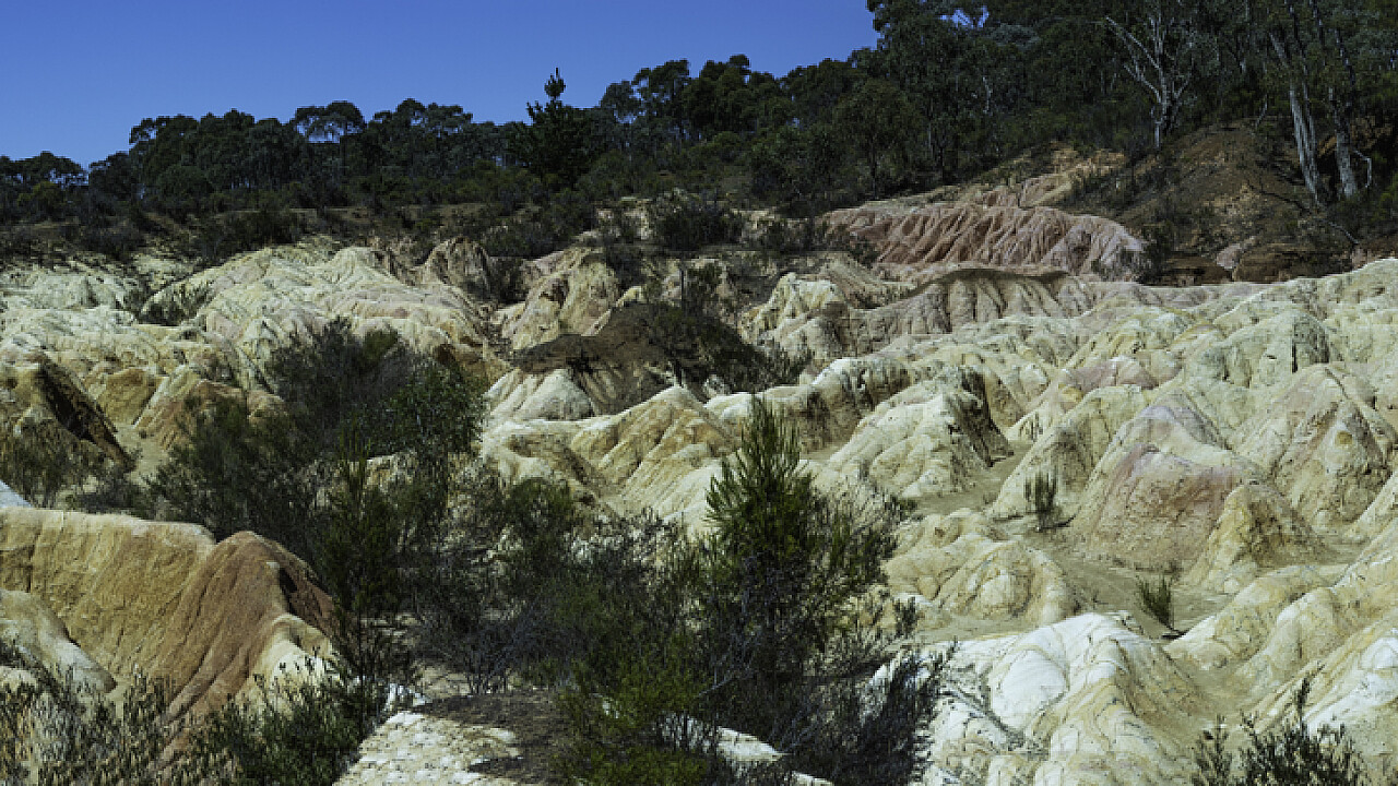 Heathcote Pink Cliffs