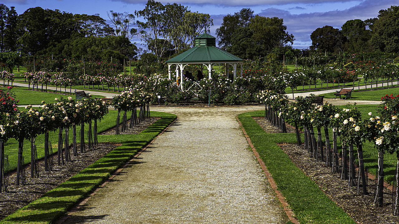 Rose Garden Rotunda Werribee Mansion