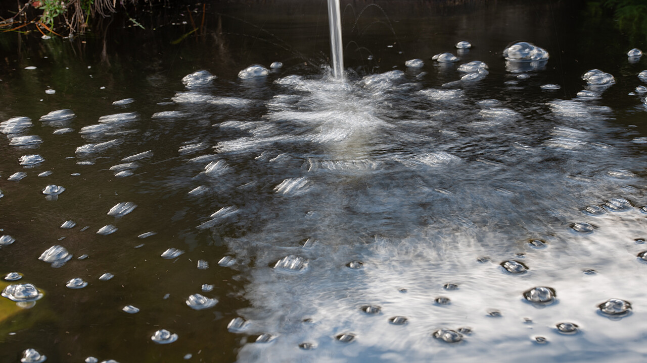 Werribee Mansion Day Shoot