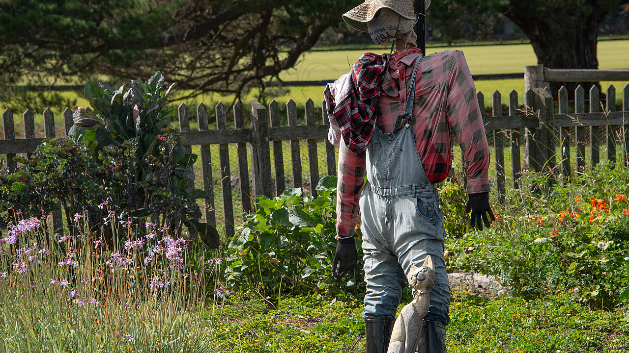 Werribee Mansion Day Shoot