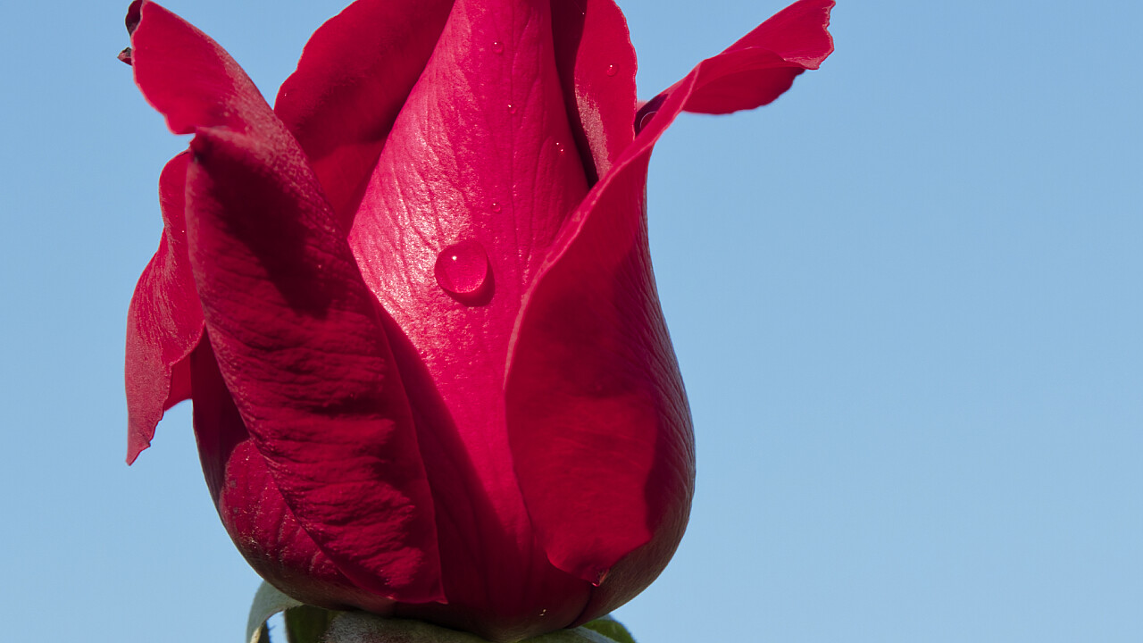 Werribee Mansion Day Shoot