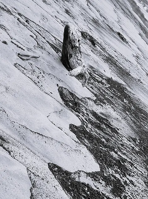 B256_OPEN_DIGITAL_SEASHORE