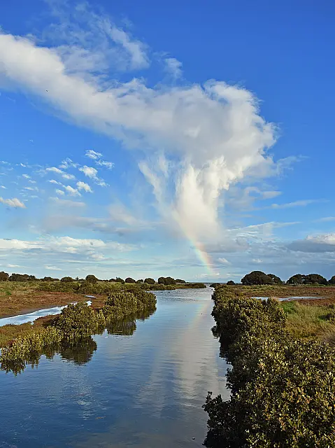 Wetlands