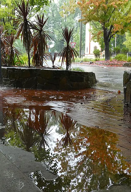Rain Reflections