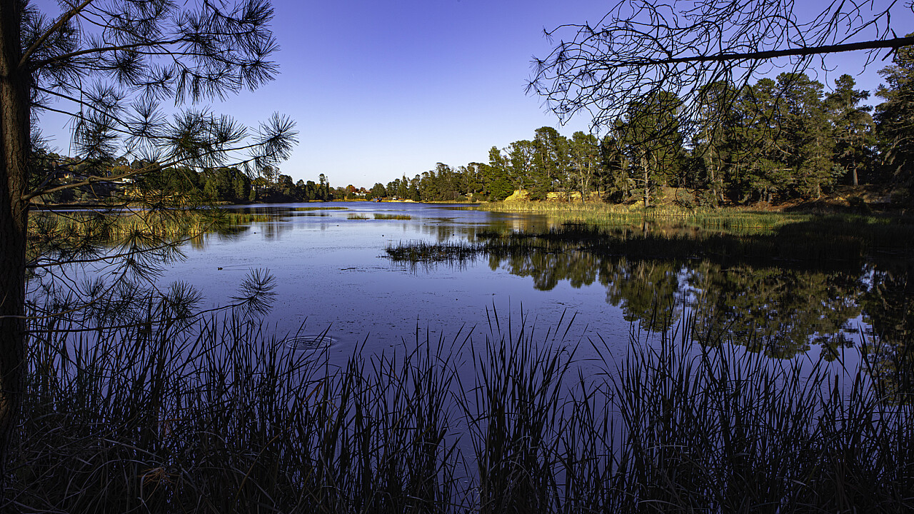 Lake Sambell Beechworth