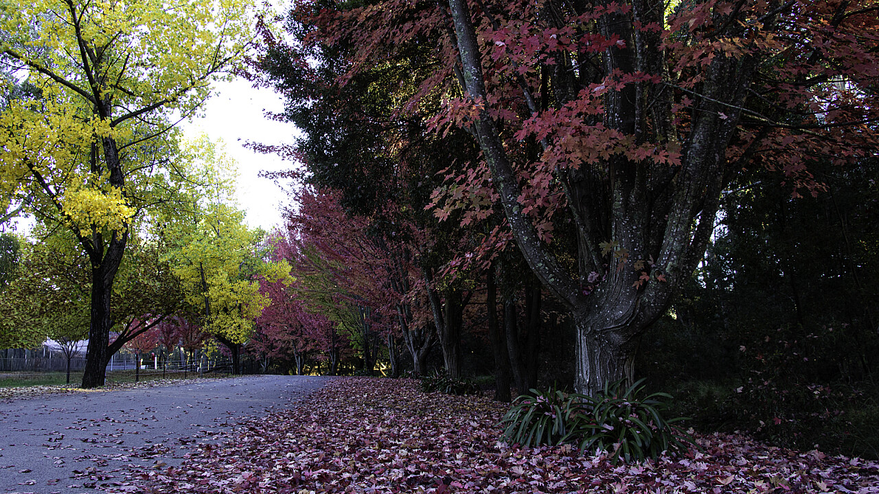 Lake Sambell Caravan Park