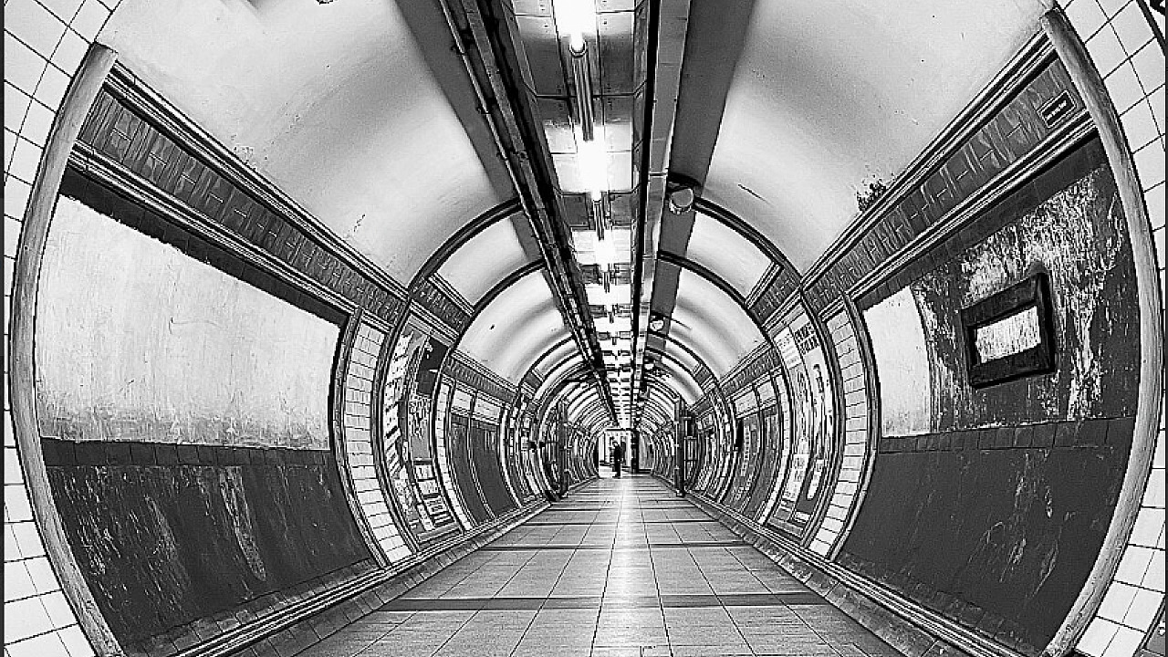 The Tube (C) Francoise Muller-Robbie