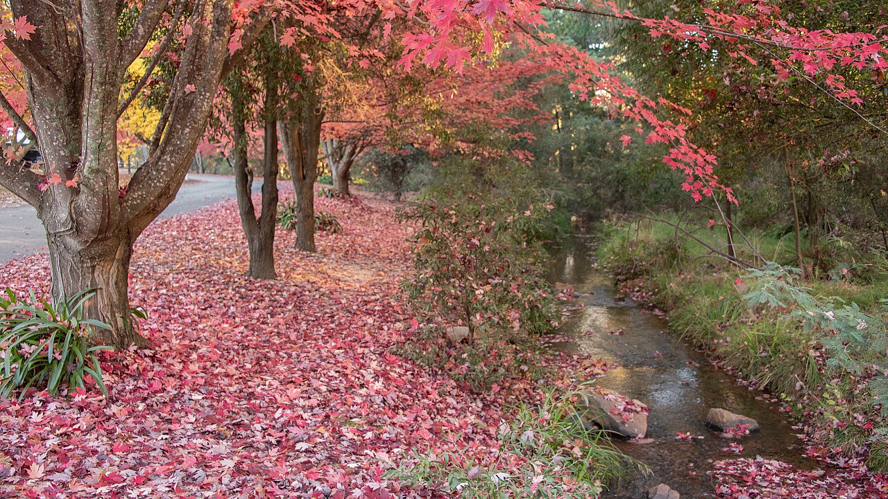 Beechworth Weekend Away
