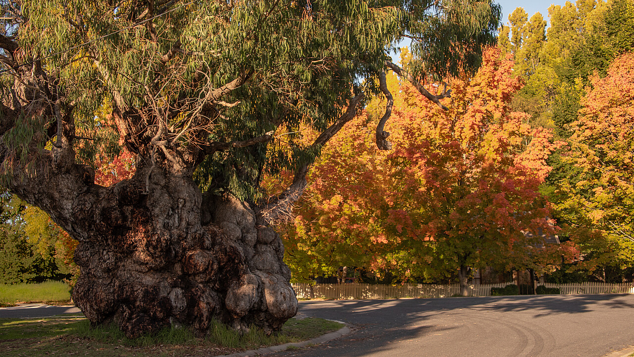 Beechworth Weekend Away