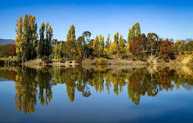 B185_Open_digital_Reflections_Of_Stillness_