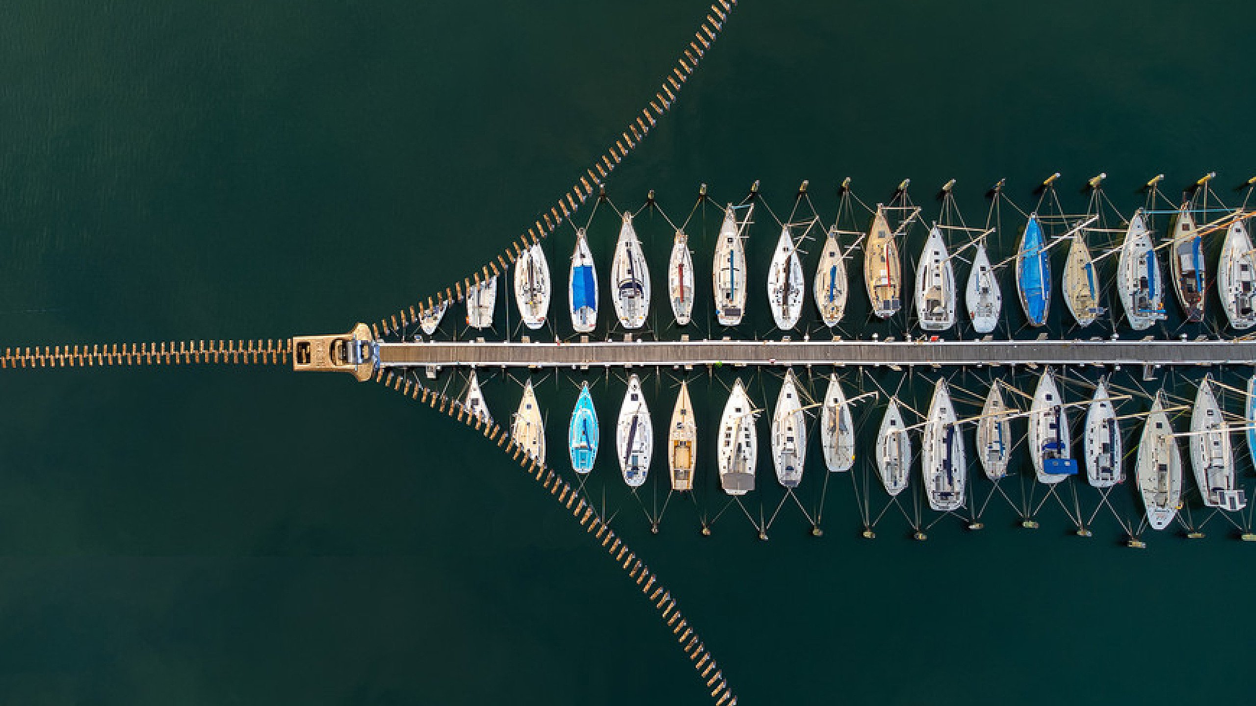 Competition 4 - Creative and Open