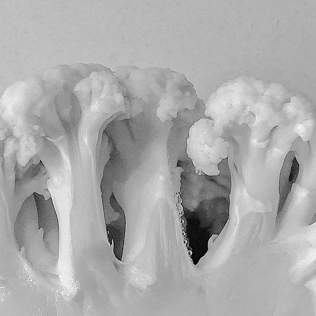 B188_Set_Print_Cauliflower