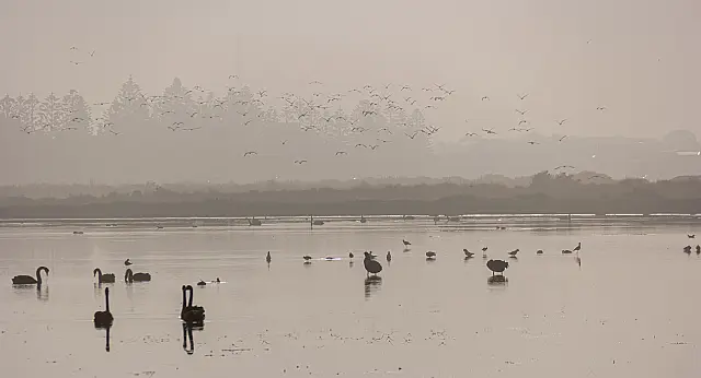 A048_Set_Digital_Fogy_Morning-18