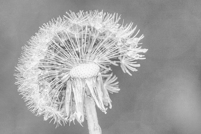 A168_Set_Print_Perfectly_Imperfect