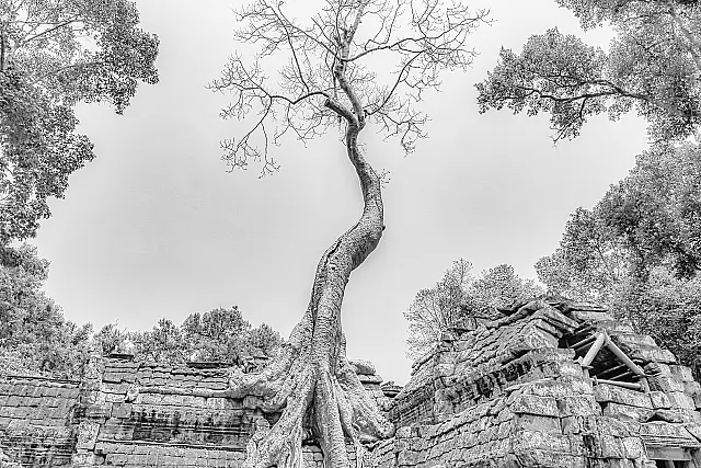 A195_set_Roots_of_time_Cambodia