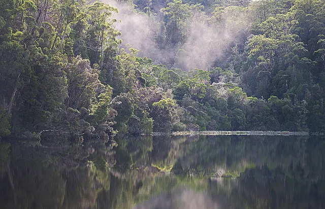 Gordon River