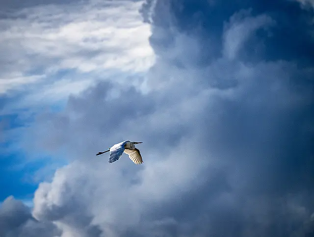 Tropical Storm imminent