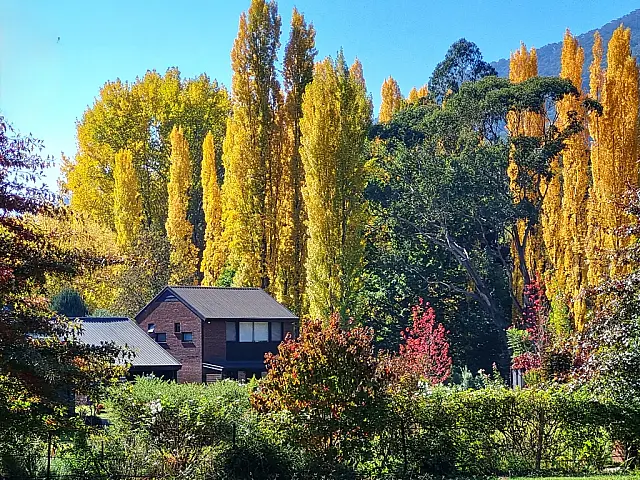Autumn at Wandillgong