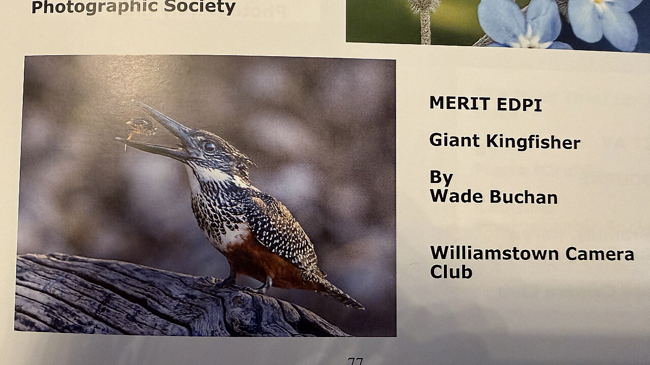 Merit Award in catalogue