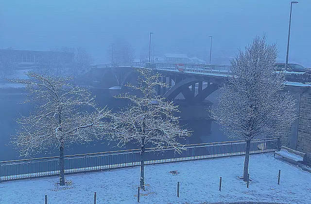 White Winter