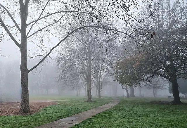 Foggy Morning in Warragul