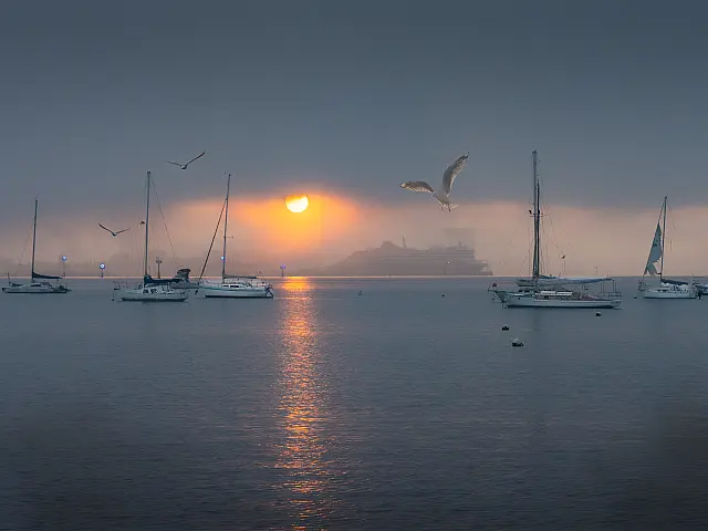 Foggy First Light