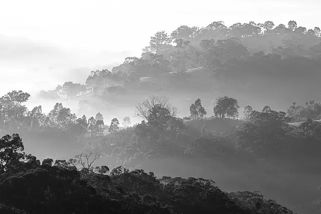 Valley in the Mist