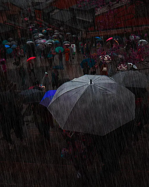 Kyoto Rain