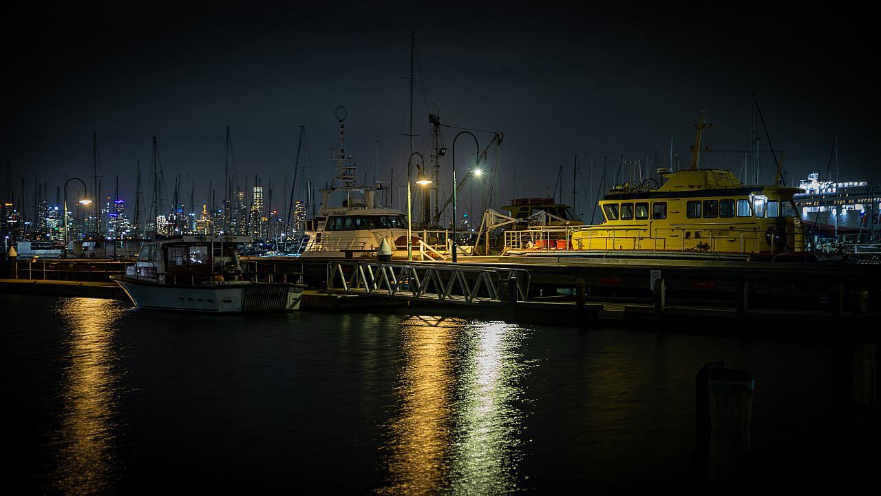 Willy At Nighht