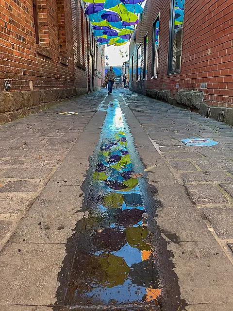 B188_Open_Digital_Umbrella lane in Ballarat