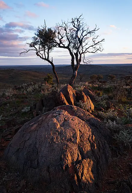 Colours of the Outback