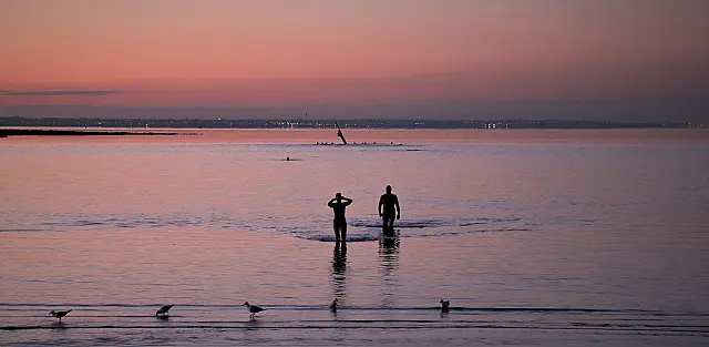 B207_ open digital_dawn’s first plungers