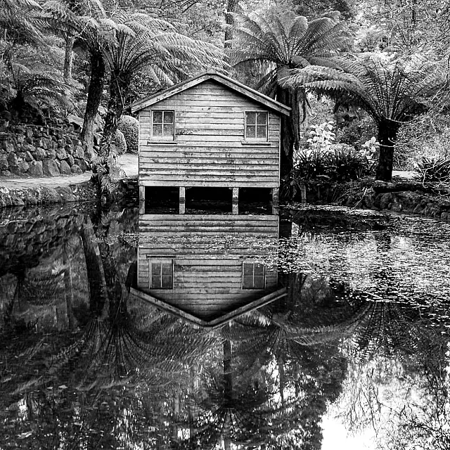 B259_Open_The_Lake_At_Alfred_ Nicholas_Memorial_Garden