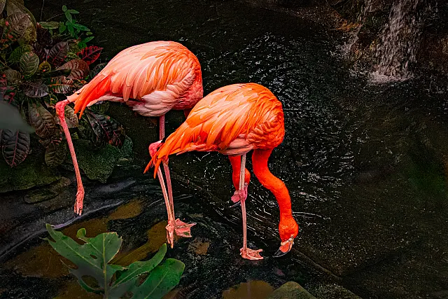 A002_Open_Digital_Feeding_By_The_Creek