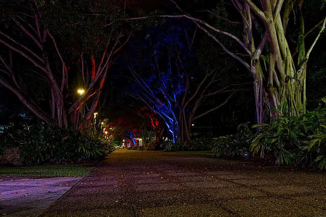B279_Digital_Set_Colourful_Path.jpg