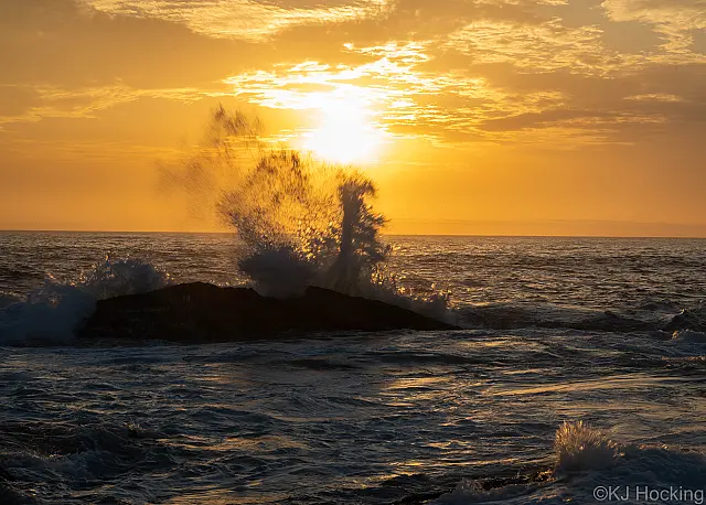 A168_Open_Print_Morning_Splash