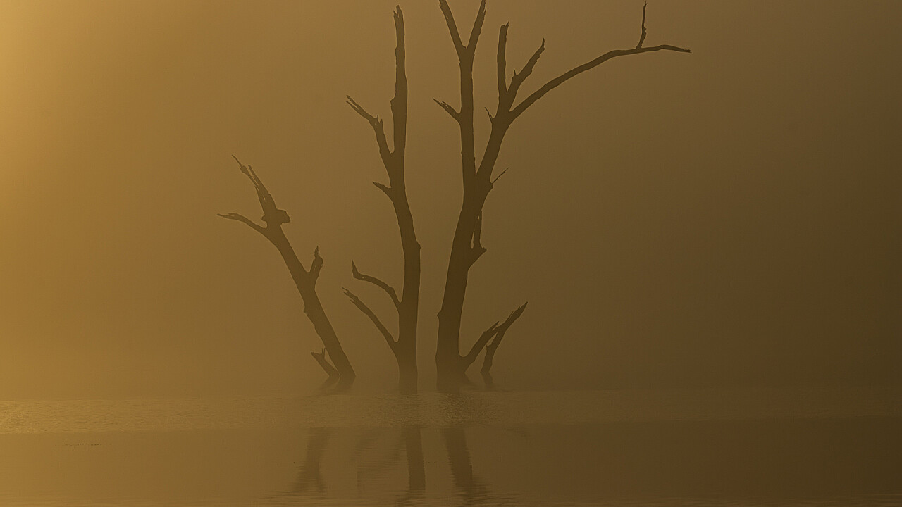 Joyces Creek