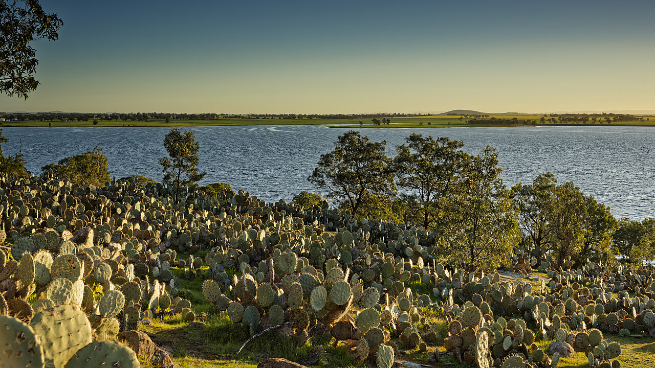 Sun Worshippers Lake Cairn Curran