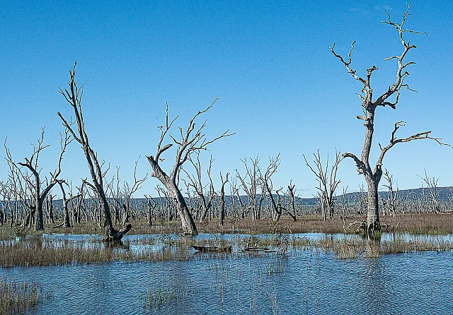 Winton Wetlands