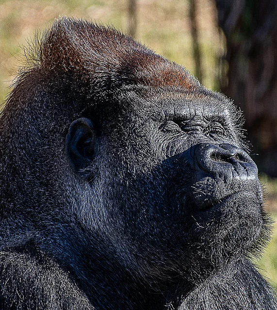 Soaking up the Summer Sun