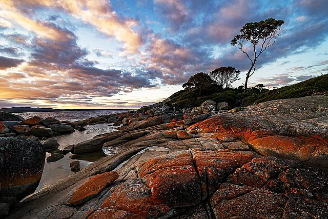 Binalong Bay Twilight