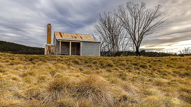 At Home in the Country