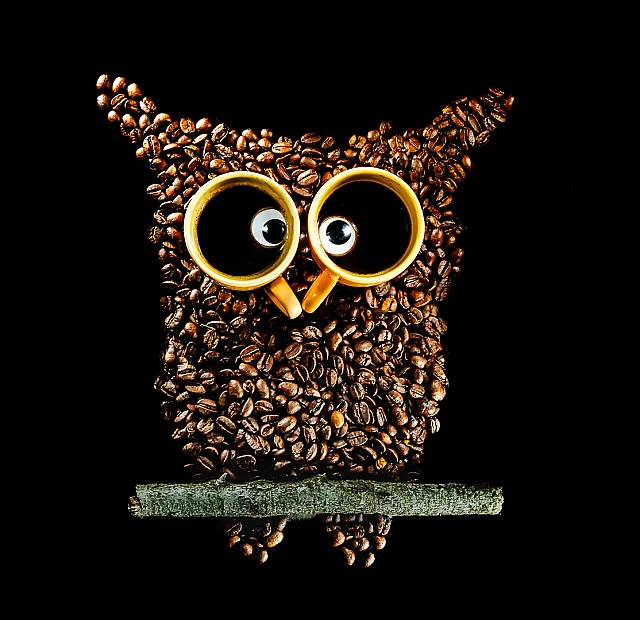 Owlways Time for Coffee