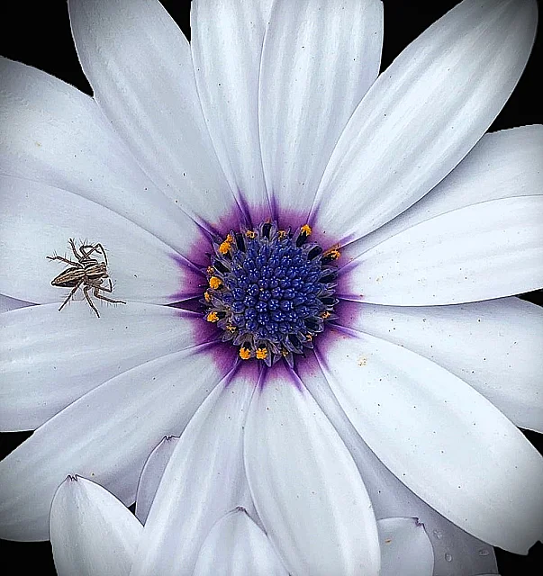 Heading to the Middle