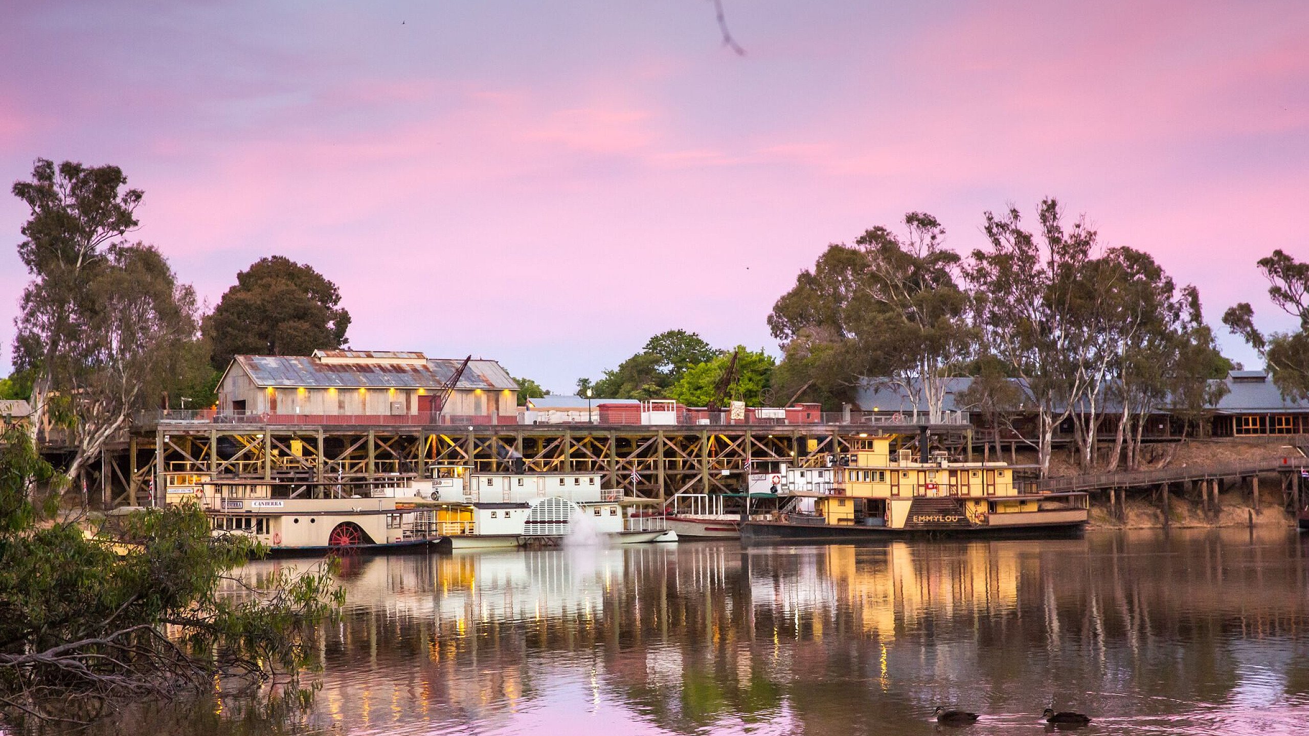 VAPS Convention: Moama