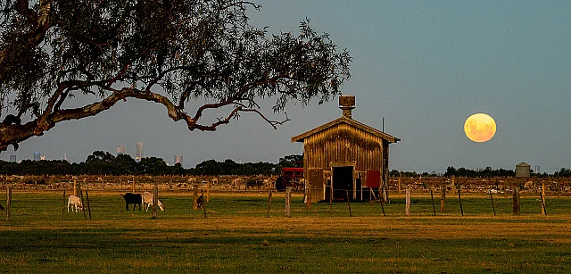 Werribee South Moon